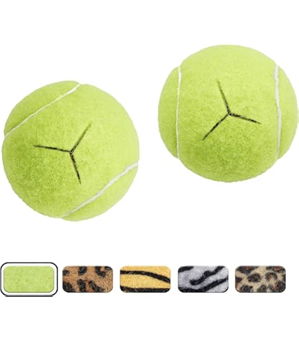 テニスボール(交渉余地あり) WRT125000_5_Roland_Garros_Offi