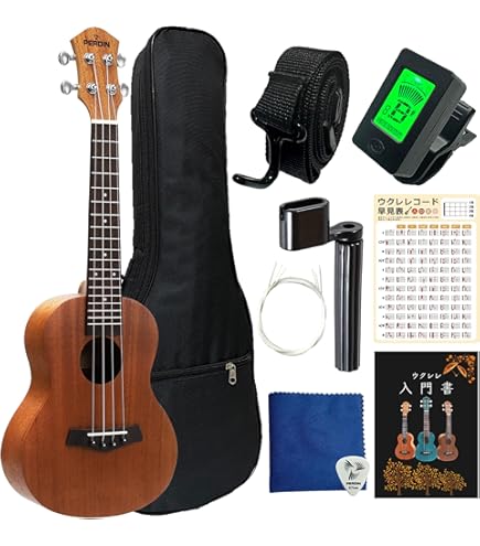 Amazon.co.jp: Fret Daddy フレットダディ スケール教則シール