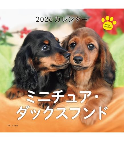 Amazon.co.jp: 東洋石創 アニマルオブジェ ドッグオーナメント