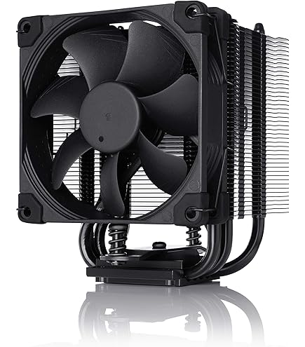 Noctua NH-U12A chromax.black, 120mm Single-Tower CPU Cooler