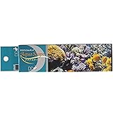 Amazon ディーディー Dd アクアリウムボンド アクアスケープ マリンスタイル 石灰藻カラー ディーディー Dd オーナメント 通販 Amazon ディーディー Dd アクアリウムボンド アクアスケープ マリンスタイル 石灰藻カラー ディーディー Dd オーナメント 通販