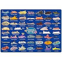 81WAdZqbJmL._AC_UL210_SR210,