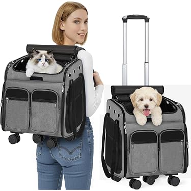 Amazon.co.jp 売れ筋ランキング: 猫のハードサイドトラベルキャリア の