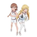 とある魔術の禁書目録 FVGA(480×800)壁紙 御坂美琴,食蜂操祈(体操服) とある魔術の禁書目録 FVGA(480×800)壁紙 御坂美琴,食蜂操祈(体操服)