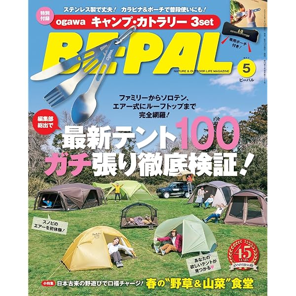 大人のキャンプ for Beginners 2024-25 (100％ムックシリーズ) | 晋
