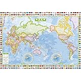 スクリーンマップ 国旗入り世界全図