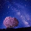 星空 - 夜桜の上を流れる天の川 iPad壁紙 122963