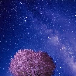 星空の人気壁紙画像 夜桜の上を流れる天の川