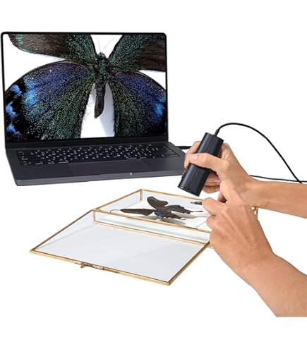 Amazon.co.jp: IPEVO P2V USB書画カメラ (CDVU-03IP) ※並行輸入品