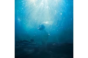 【Amazon.co.jp限定】海いっぱいに降りしきる星 (通常盤) - Aqua Timez (メガジャケ付)