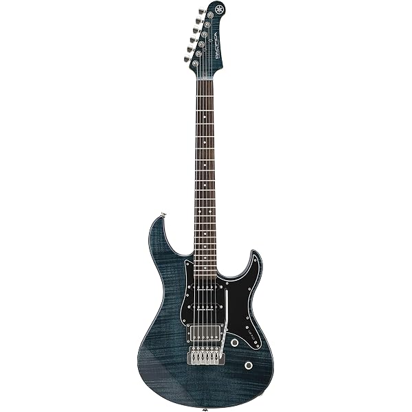 Amazon.co.jp: エレキギター GrassRoots G-EC CTM GVBK グラスルーツ