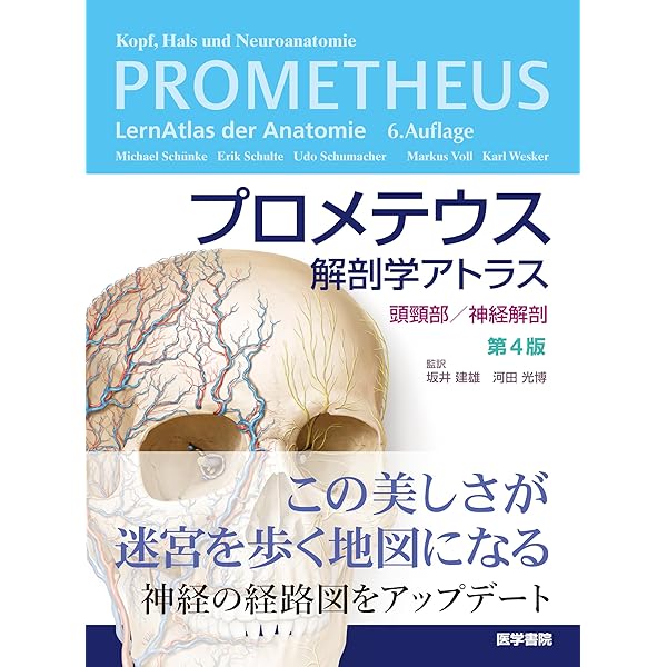 プロメテウス解剖学アトラス 解剖学総論/運動器系 第4版 | 坂井 建雄