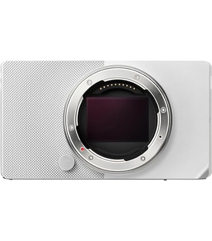 Amazon.co.jp: Sigma 35mm F2 DG (シルバー) | コンテンポラリー for L