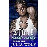 Stone Cold Notes: A Single Mom/Rock Star Romance (The Seasons Change)