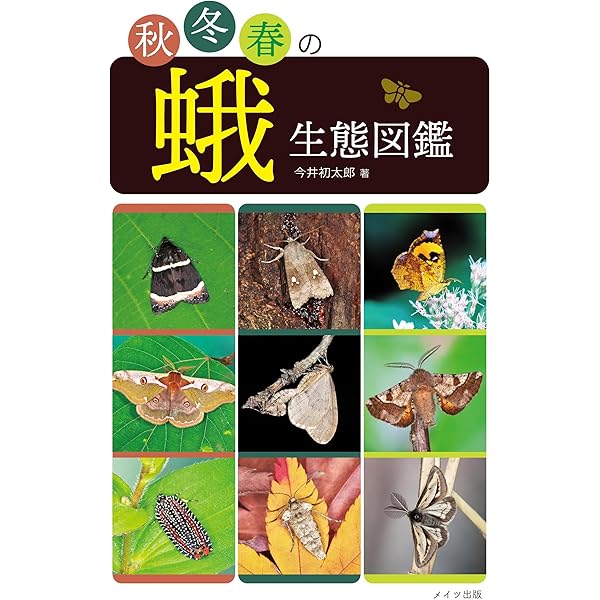 Amazon.co.jp: 日本の小蛾類 : 那須 義次, 広渡 俊哉, 坂巻 祥孝, 岸田