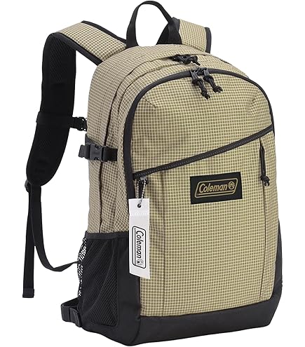 Amazon.co.jp: フォルクル（VOLKL） レースバックパック チーム ラージ