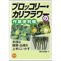 緑黄色社会 ブロッコリー＆カリフラワー　set 未開封 緑黄色社会 ブロッコリー＆カリフラワーset 未開封 緑黄色社会