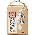 こしひかり 美稲 栃木県産 白米 コシヒカリ 令和5年産