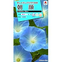 専用ページ☆朝顔 アサガオ ヘブンリーブルー｜種（タネ）,球根,苗,資材,ガーデニング