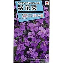 81WnJvha2RL._AC_UL210_SR210,