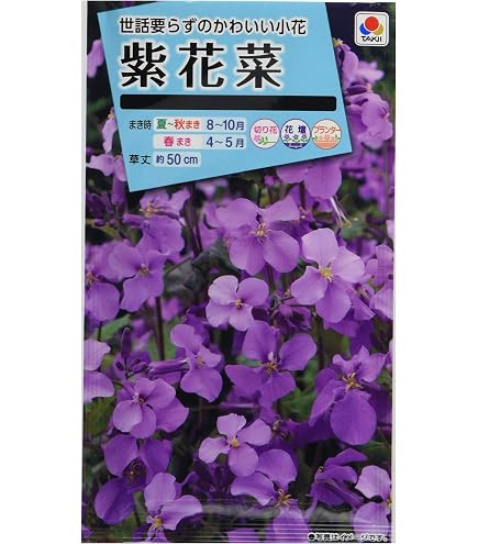Amazon.co.jp: 山野草 クマガイソウ 熊谷草 クマガイ草 抜き根 1株 005 