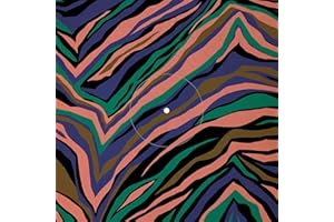 【Amazon.co.jp限定】RIVIERA (完全生産限定盤) (アナログ盤) - EGO-WRAPPIN' (メガジャケ付) [Analog]