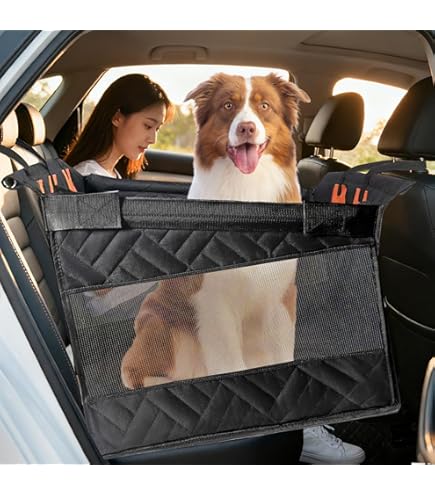 Amazon.co.jp: 【獣医師監修／JPPMA認定品】ドライブボックス 大型犬用