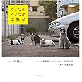 ヒミツのヒミツの猫集会