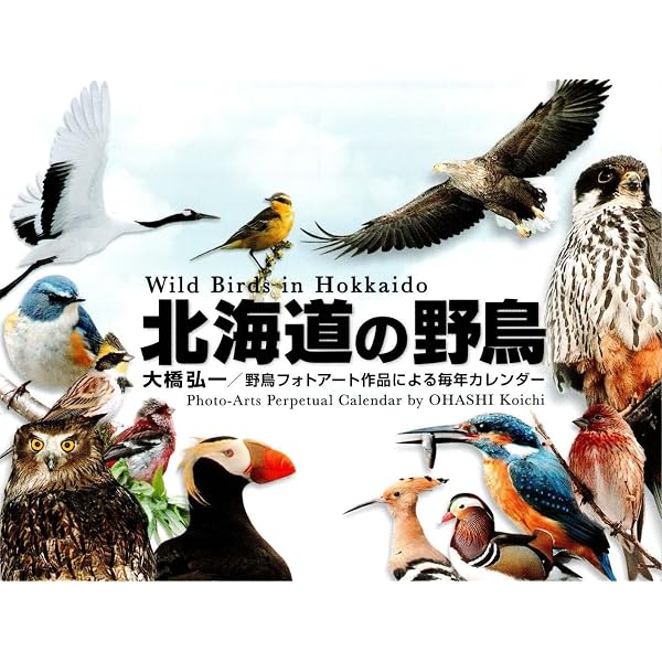 ビジュアル図鑑 北海道の鳥 | 大橋 弘一 |本 | 通販 | Amazon