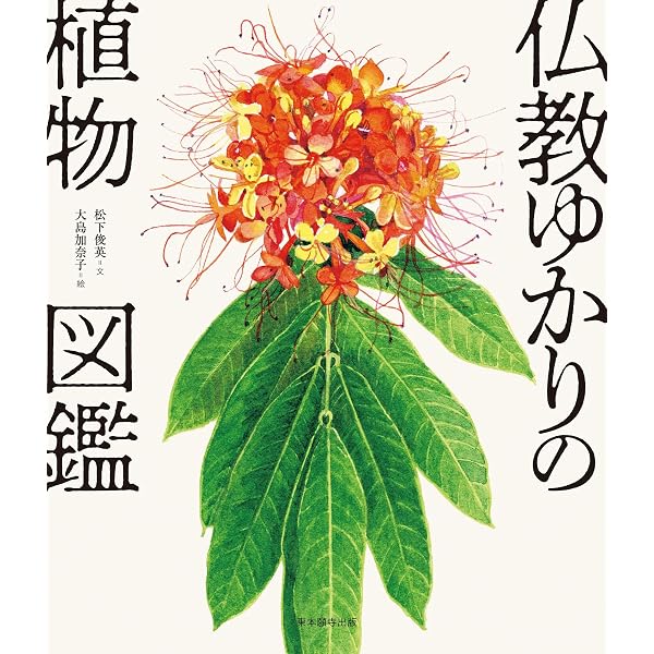お話し中なぜ仏像はハスの花の上に座っているのか 仏教と植物の切っても切れない66 Amazon.co.jp: なぜ仏像はハスの花の上に座っているのか 仏教と植物の