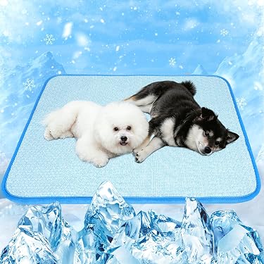 Amazon.co.jp 最新リリース: 犬用ベッド・マット・ステップ の新着