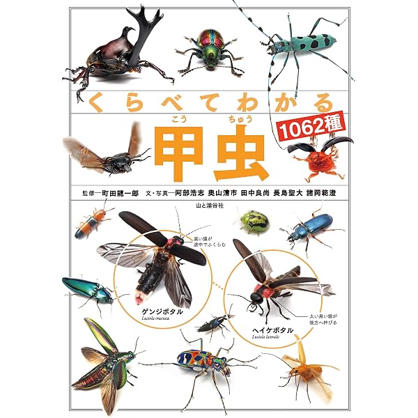 甲虫 (新装版山溪フィールドブックス) (山溪フィールドブックス 新装版 6) 甲虫 (山溪フィールドブックス | |本 泰明, メルカリ