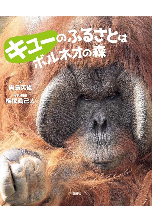 Amazon.co.jp: 『Back to the Wild 』森を失ったオランウータン : 柏倉