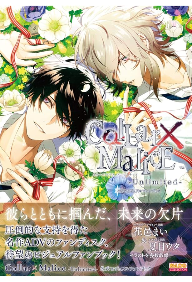 Collar×Malice Art Works | アイディアファクトリー, デザイン