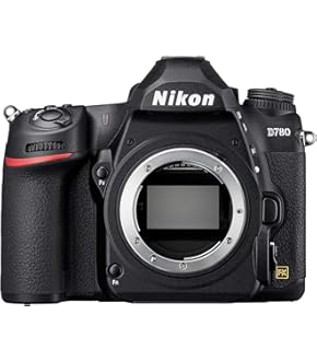 レンズ(ズーム) nikon AF-S NIKKOR 70-200mm f/2.8G EDVRII Nikon NIKKOR Z 70-200mm f/2.8 VR S | Mirrorless Lenses | Nikon