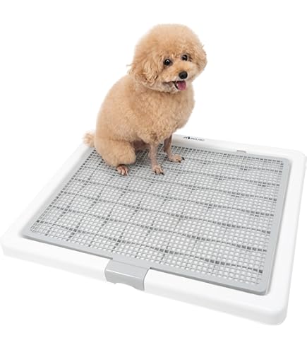 Amazon.co.jp: ファーストラックス (FIRSTRAX) ソフクレート n2 XXL