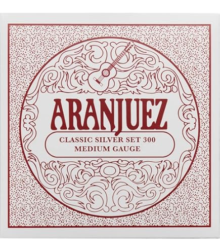 アランフェス アランフェス（Aranjuez）：クラシックギター：ケース