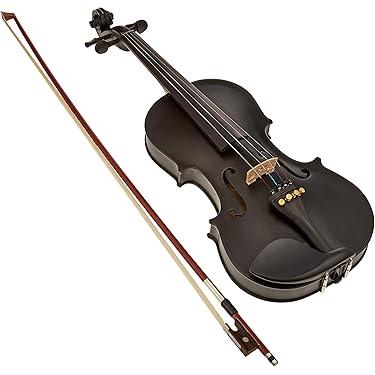 Amazon.co.jp ほしい物ランキング: バイオリン で、ほしい物リストと