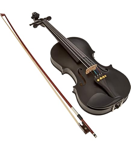Hallstatt ハルシュタット エレキヴァイオリン EV-30/NBR Amazon | Hallstatt ハルシュタット エレキヴァイオリン EV-30