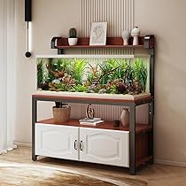 81XRLrPI7vL._AC_UL210_SR210,