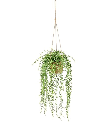 Amazon｜ASA グリーンポット IX Aloe(アロエ) 11642-000｜人工観葉植物