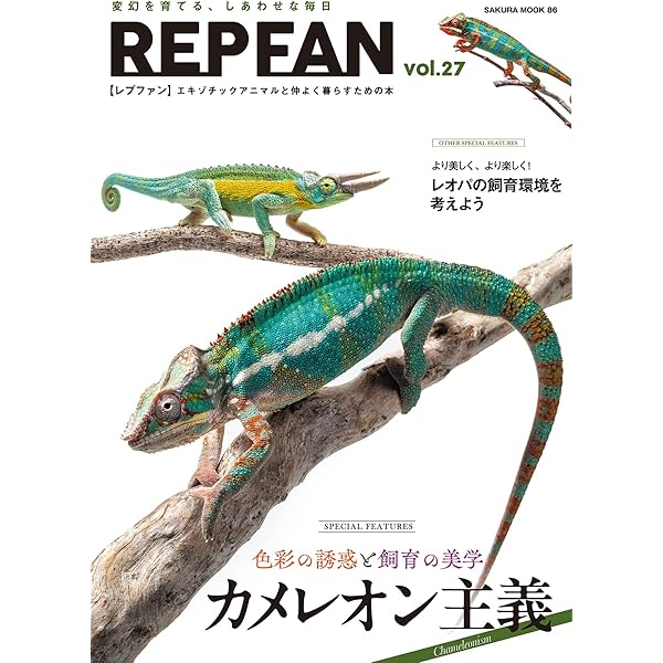 趣味・スポーツ・実用 REP FAN vol.17 REP FAN レプファン vol.17