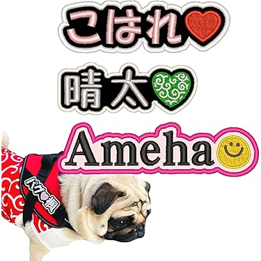 Amazon.co.jp 売れ筋ランキング: 犬用名札・IDタグ の中で最も人気の