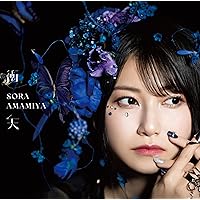雨宮天 COVERS アナログ レコード メガジャケ付き Amazon.co.jp: LP 雨宮天 COVERS Sora Amamiya favorite songs