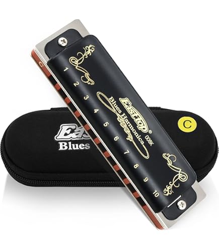 Fun Blues Armonica A Bocca Arancione - 10 Fori Con Custodia Rigida - Foto 8