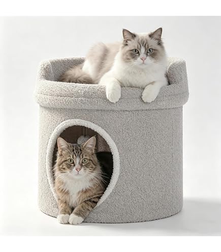 Amazon | マルカン キャットフレンドルーム | マルカン | キャット