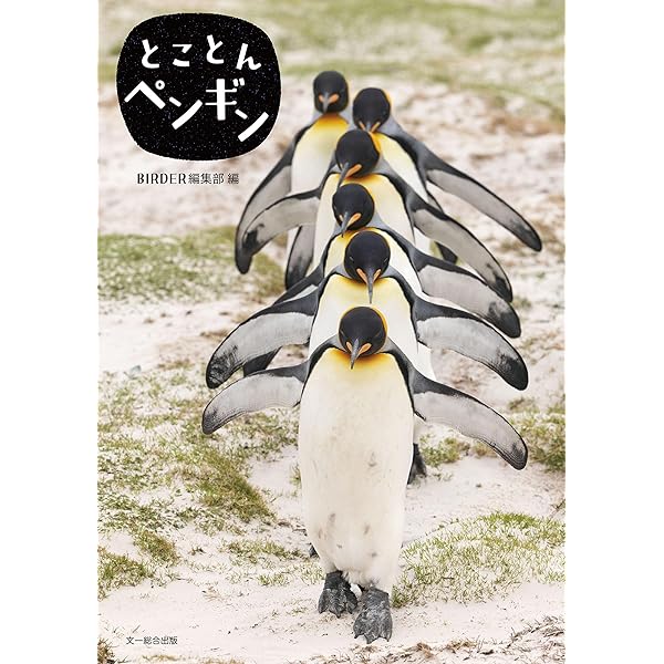 ペンギンさん　様　専売商品 楽天市場】【正規販売代理店】【ラッピング】 Jellycat Ditzi