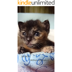 34CATS: ～Kitten edition～ (English Edition)