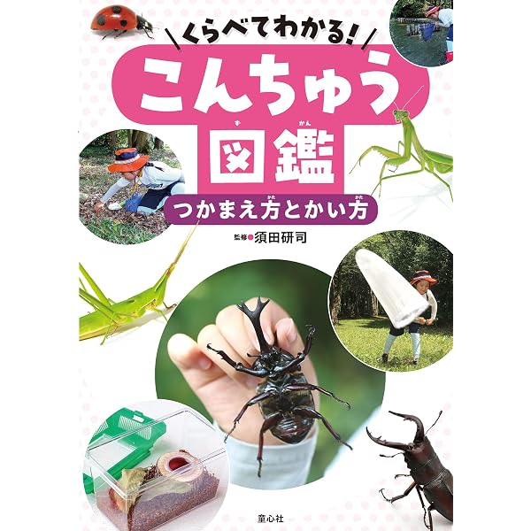 くらべてわかる!こんちゅう図鑑 おとなになるまで (第3巻) | 須田研司