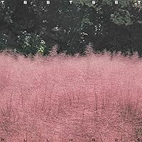 Amazon.co.jp: TAKE OFF AND LANDING - 砂原良徳: ミュージック